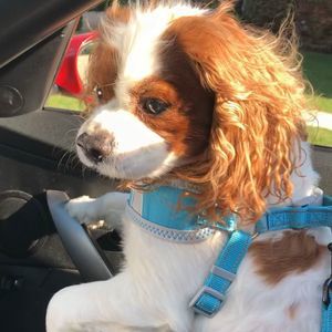 Meet your Posher, Katie